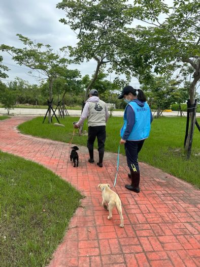 幸福動物之家：苗收園區的愛與關懷