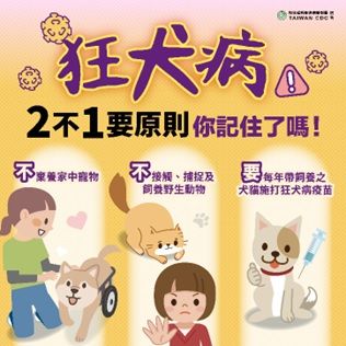 苗栗縣再現鼬獾狂犬病陽性案例，呼籲民眾遵守「二不一要」防疫措施