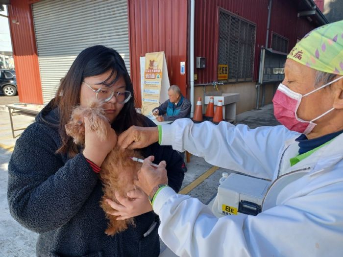 春日疫苗巡迴，守護毛孩健康！臺中市動保處開辦免費犬貓狂犬病疫苗及晶片注射活動