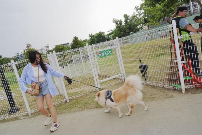 臺南寵物友善公園持續增設，讓毛孩盡情奔跑與玩耍！