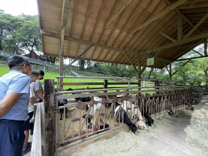 飛牛牧場榮獲「優級」評鑑，展現卓越動物保護與教育成就