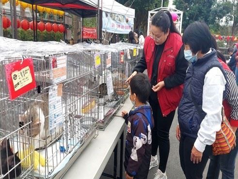 新北市動保處推廣寵物平安燈活動，為毛孩祈福迎新年