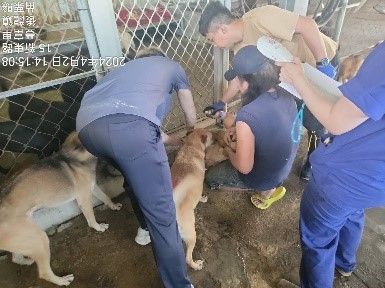 提升民間狗場飼養品質！苗栗縣輔導落實動物福利與防疫管理