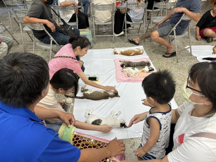 高雄市動物保護處多元活動措施助力寵物福祉