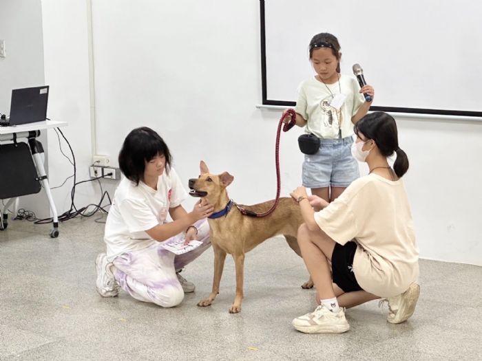 療癒犬夏令營高階班迎來盛大送養會，點亮犬隻新希望