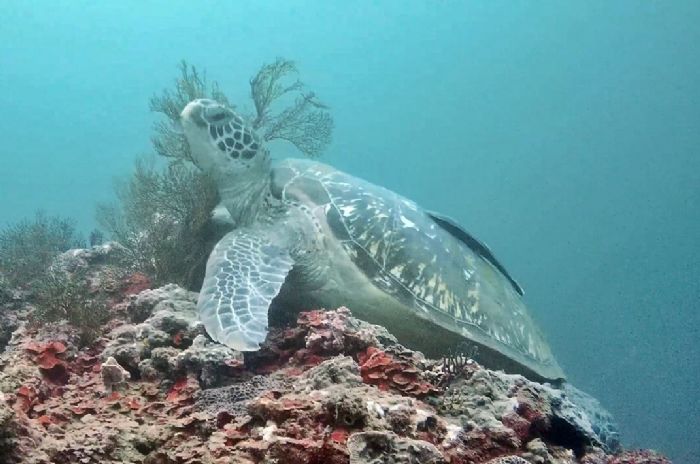 海洋科技博物館雙喜臨門：榮獲永續發展獎與參觀人數再創新高