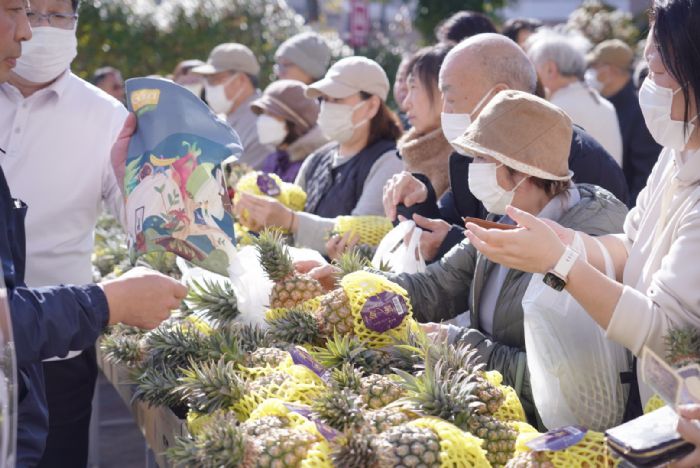 屏東鳳梨熱銷日本！東京Belx超市展售熱潮引爆