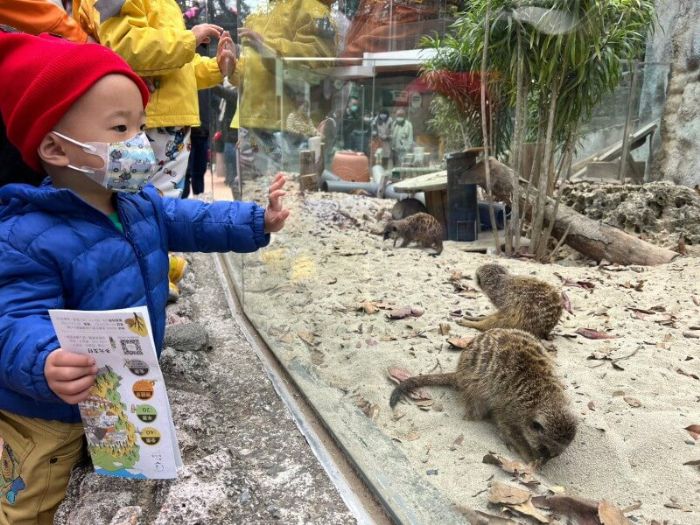 壽山動物園夯！歡慶兒童節加碼現場票1000張