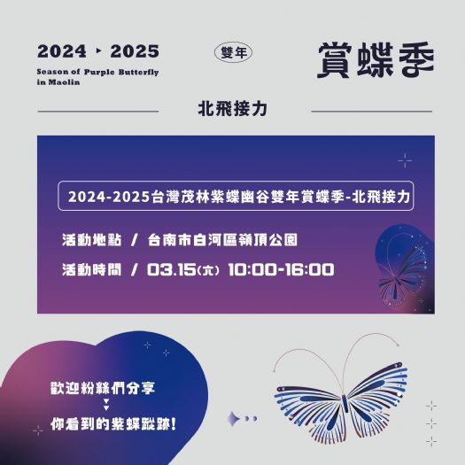 2024-2025台灣茂林紫蝶幽谷雙年賞蝶季：北飛接力，見證夢幻的紫色飛行