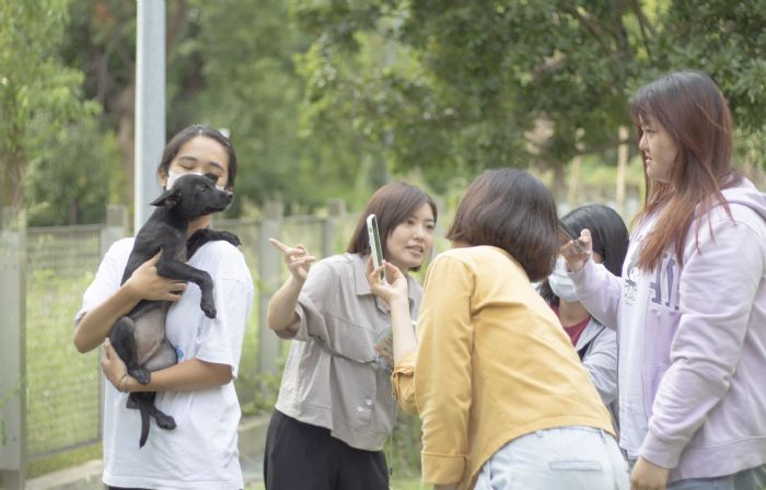 影像留住溫馨時光——動保處舉辦毛孩攝影師新手班