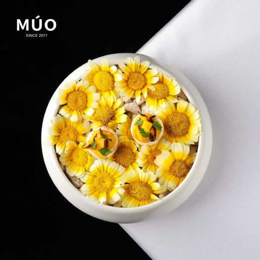 高雄新派法式料理餐廳「MÚO」，由女主廚 Ling 主理，用心打造春夏新菜單