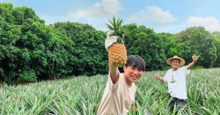 水果季節盛開！歡樂的夏日等你來享受！