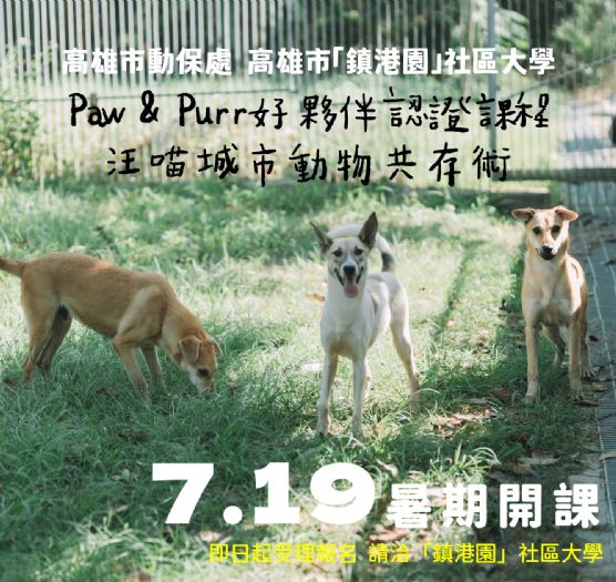 Paw & Purr 毛小孩好夥伴暑期認證課程