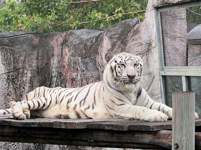 高雄壽山動物園「送暖感恩專案」邀基層英雄放鬆身心，免費入園共享親子時光