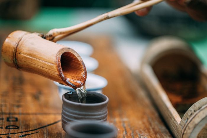 拿普原生有機茶園：台灣茶葉的國際榮耀