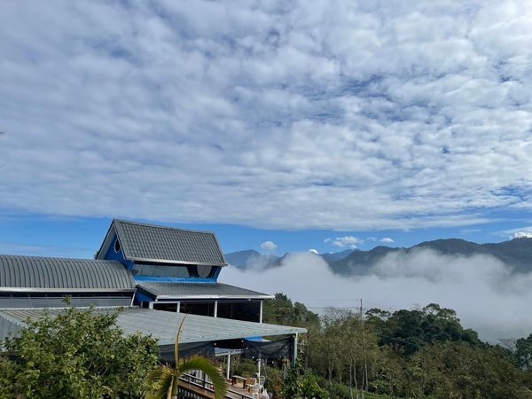 激發竹縣新奇的秘境「日木花園」現身！集結景觀咖啡廳、迷人小木屋，精心打造由退休夫妻打破常規的綠意天地。