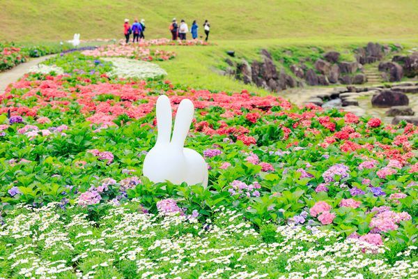 北市最新繡球花勝地！搭捷運即可抵達內湖「212坪愛心花海」　賞花美景迎接過年