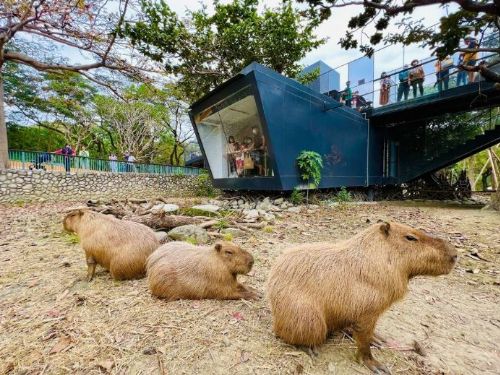 高雄市觀光局積極推動國際旅遊：迎接更多東南亞及東北亞旅客