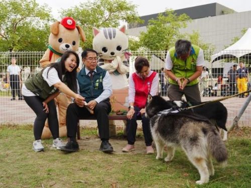 南區明和寵物友善公園歡樂盛會：愛犬同樂，獎品豐富！