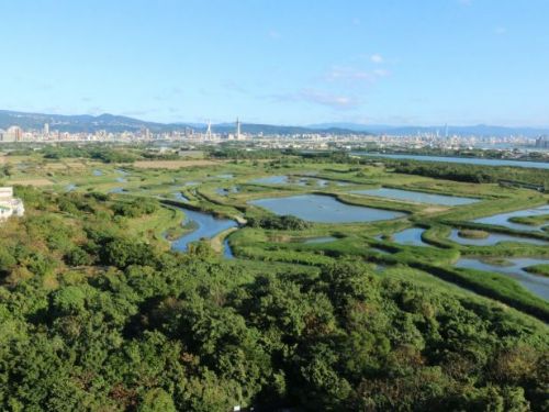 春天來臨，關渡自然公園邀您共探濕地生態之美