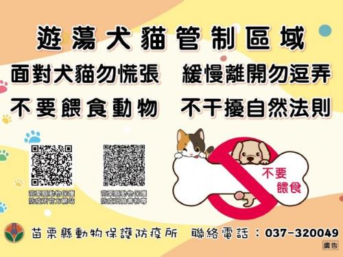 解決遊蕩犬問題：苗栗縣的努力與未來展望