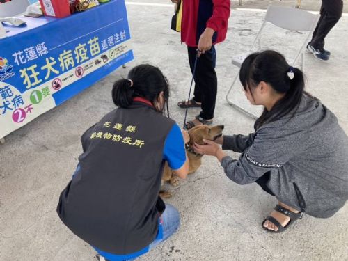 連續兩年榮獲第一！花蓮狂犬病防疫注射率全國稱冠