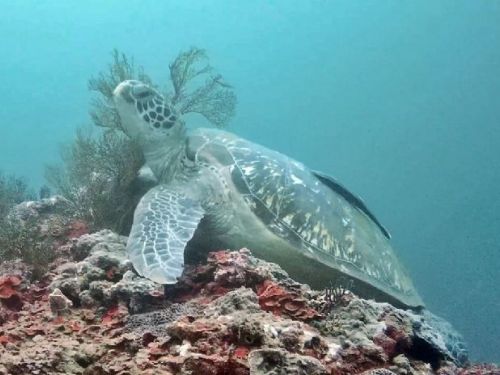 海洋科技博物館雙喜臨門：榮獲永續發展獎與參觀人數再創新高