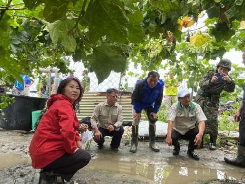 颱風凱米重創屏東農業：縣府迅速應對助農民渡難關