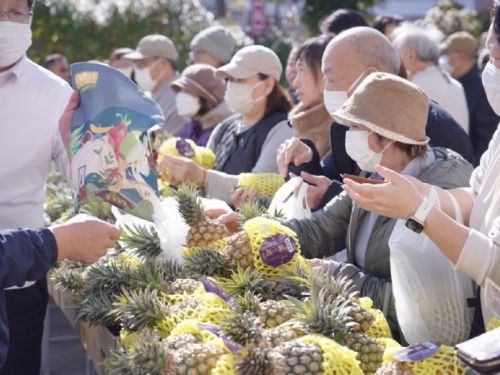 屏東鳳梨熱銷日本！東京Belx超市展售熱潮引爆