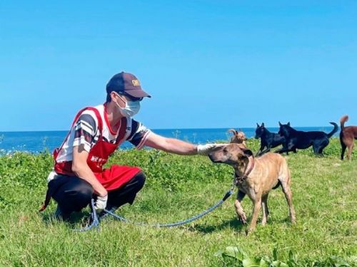 新北淡水動物之家成功救援幼犬安安，溫馨認養迎來幸福新生活