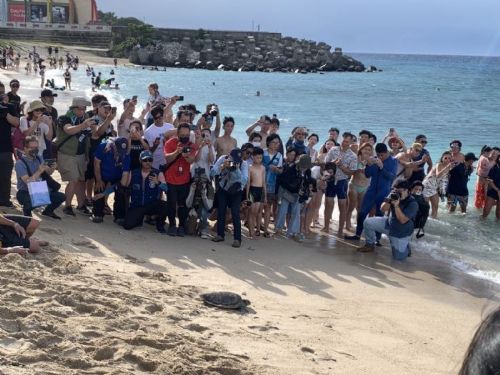 屏東縣政府舉辦野放海龜活動，齊心推動海洋保護