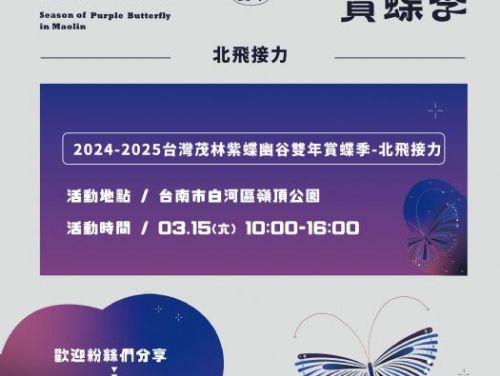 2024-2025台灣茂林紫蝶幽谷雙年賞蝶季：北飛接力，見證夢幻的紫色飛行