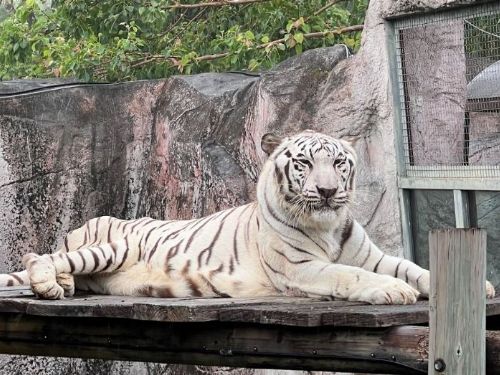 高雄壽山動物園「送暖感恩專案」邀基層英雄放鬆身心，免費入園共享親子時光