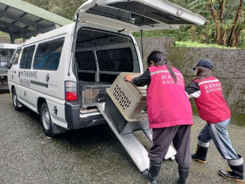 創新動保車輛助力救援，提升效率溫馨守護生命