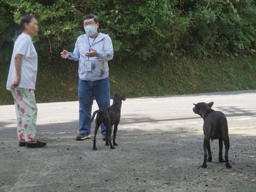 新北市動保處攜手社區，共創無遊蕩犬和諧環境