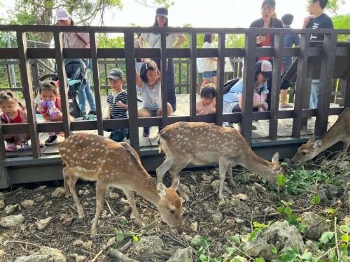 感謝風災救援英雄 壽山動物園暖推憑證年底前免費入園