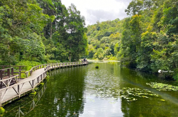 免門票「亞洲最大植物園」在這！搶拍絕美水生池、近距離賞山羌，想去先預約